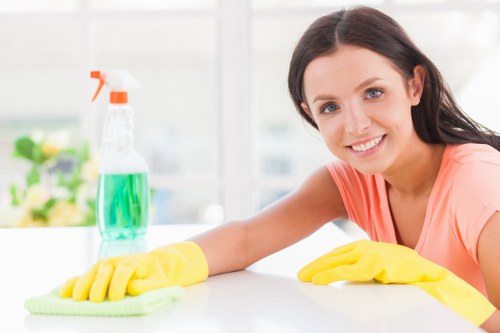 Professional steam carpet cleaning service in a Brixton home