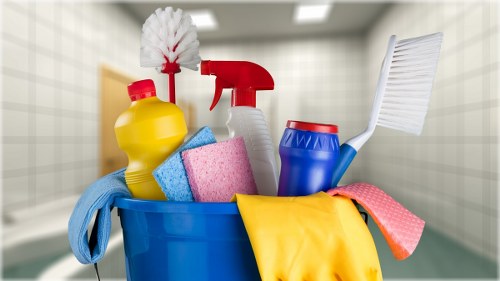 Specialist treatment for pet odour in a Brixton mattress or soft furnishing