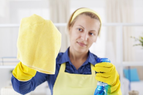 Illustration representing accessible Brixton Carpet Cleaners web content
