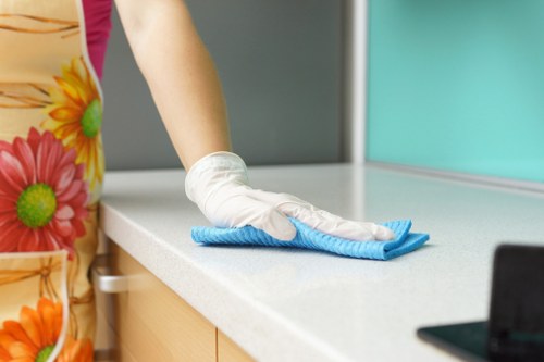 Gutter cleaning service for Brixton homes with blocked roofline drainage