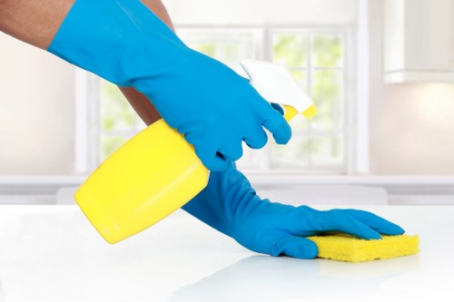Carpet cleaning team in Brixton using sustainable recycling practices