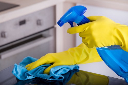 Professional gutter clearance for residential and commercial buildings in Brixton
