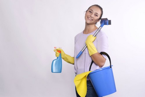 Seasonal gutter cleaning and downpipe clearing in Brixton South London