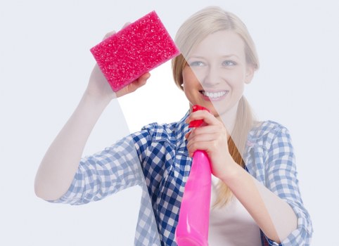 Professional Brixton carpet cleaning service treating stains