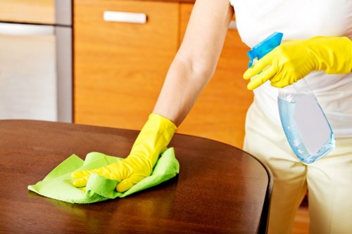 Detailed bathroom cleaning in a Brixton flat by a local cleaning professional